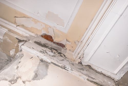 Drywall & Wall Repair